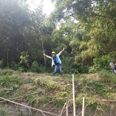 竹林整備前写真1