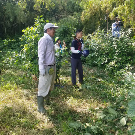 竹林整備前写真2