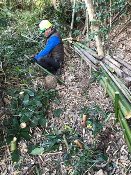 竹林整備写真1